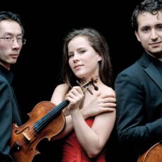 Amatis Trio (Foto: Marco Borggreve)